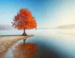 高‍级﻿爬​虫﻿开﻿发‌工‍具‍软​件‌有​哪﻿些‍功﻿能‍